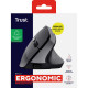 Миша Trust Bayo 2 Ergonomic, WL/USB-A, чорний 25145_TRUST