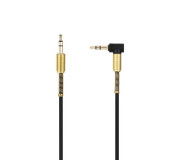 AUDIO