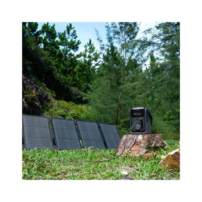 Зарядна станція EcoFlow TRAIL 300 DC 300W 288 Wh (EF-TRAIL300-N)
