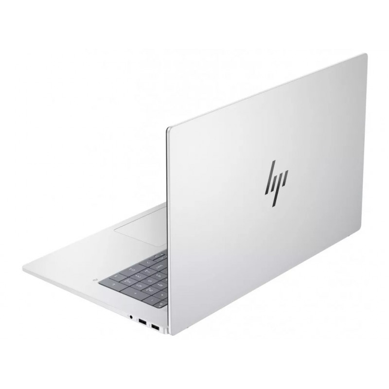 Ноутбук HP OmniBook X 17-dd0057nr Glacier Silver (B88A3UA)